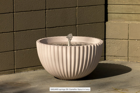 SAGUARO - Water Feature